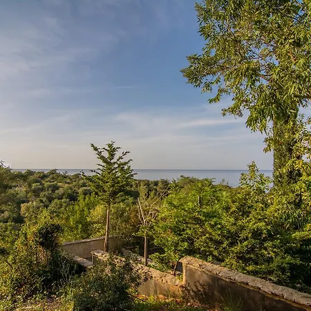 Villa Korona 1